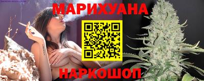 дмт Будённовск